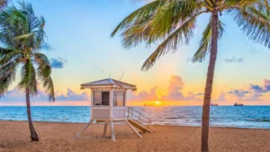 A photo of sunrise over a sandy beach in Vero Beach with palm trees and a lifeguard tower overlooking the ocean.
