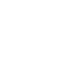 disco ball icon